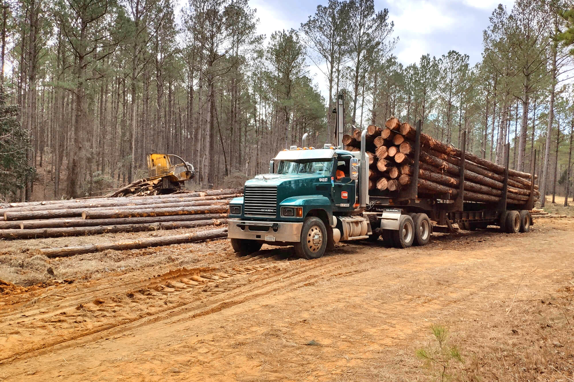 Scotch Plywood & Land Management